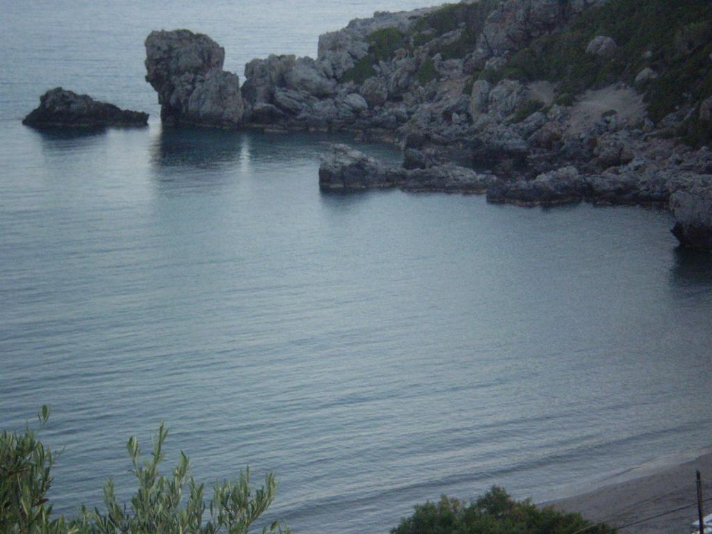 Livikon &
