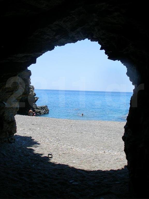 Apartament Livikon &